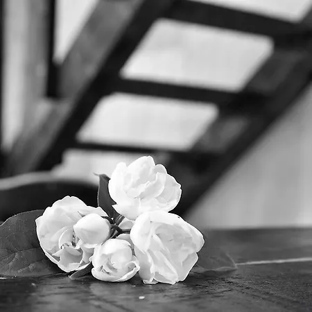 Holiday home La Casa De Colores *