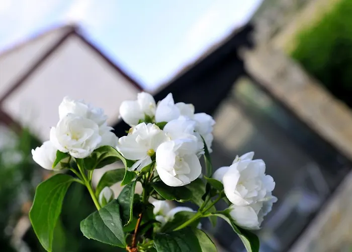 La Casa De Colores Munopepe