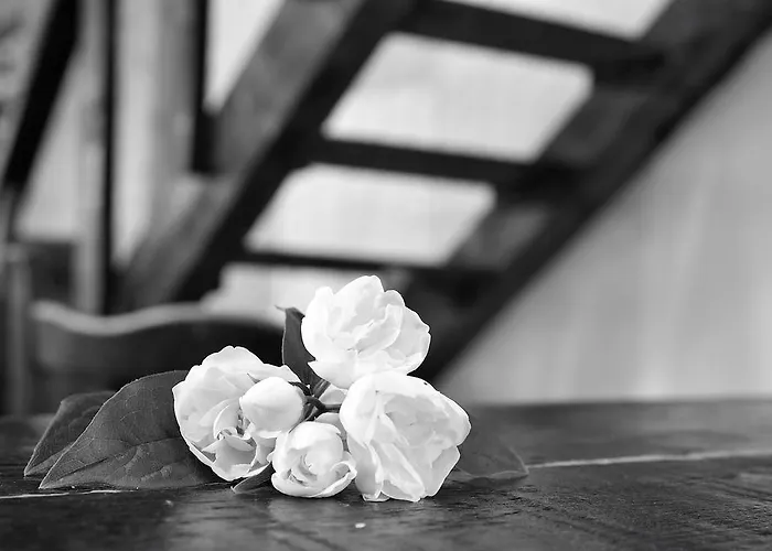 度假居 La Casa De Colores *