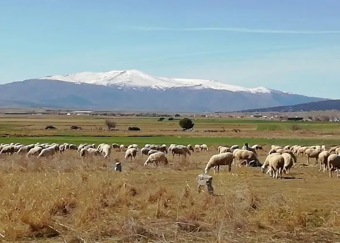 La Casa De Colores Munopepe